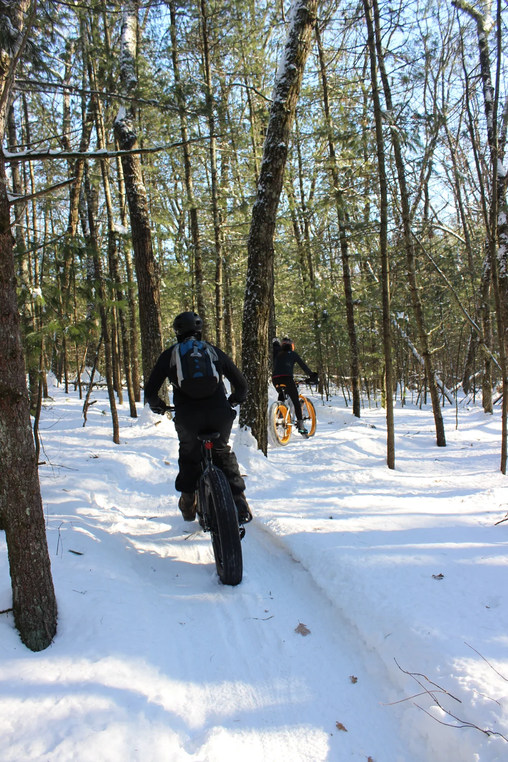 Fat-tire bike riders on a snowy forest trail