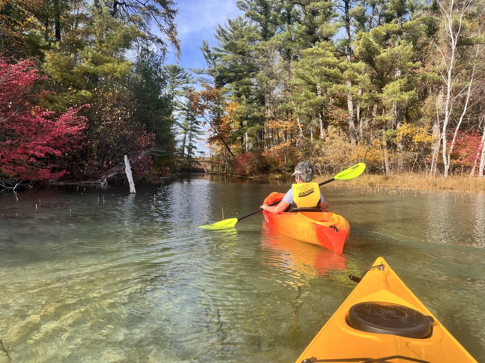 A paddler in an orange kayak exploring calm water surrounded by autumn trees