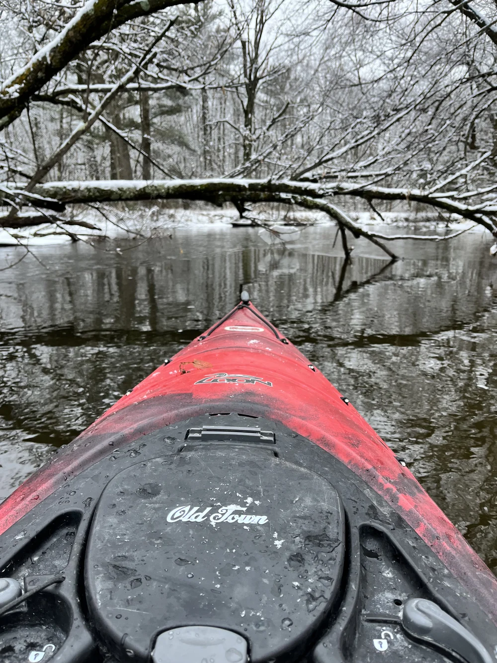View from a red kayak on a river beneath snow-covered trees
