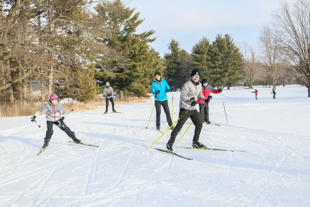 Cross-country skiers enjoying a snowy trail